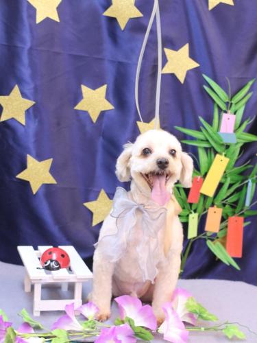 20230715ペカくん